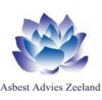 AAZ Advies en Projecten BV