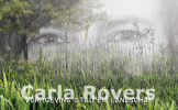 Carla Rovers Vormgeving stad en landschap