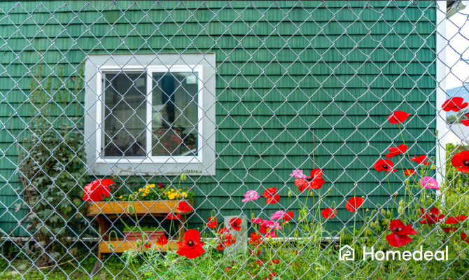 Goedkoop hekwerk - gaashek met klaprozen en een huis erachter