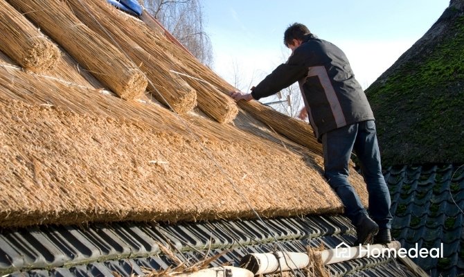 Dakdekker brengt nieuw riet aan op een rieten dak tijdens de aanleg of renovatie. Een rieten dak geeft de woning een natuurlijke uitstraling en biedt goede isolerende eigenschappen.