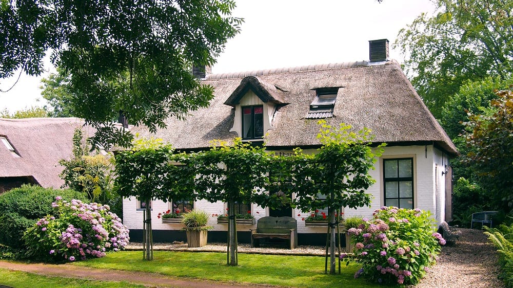 Gras aanleggen prijzen