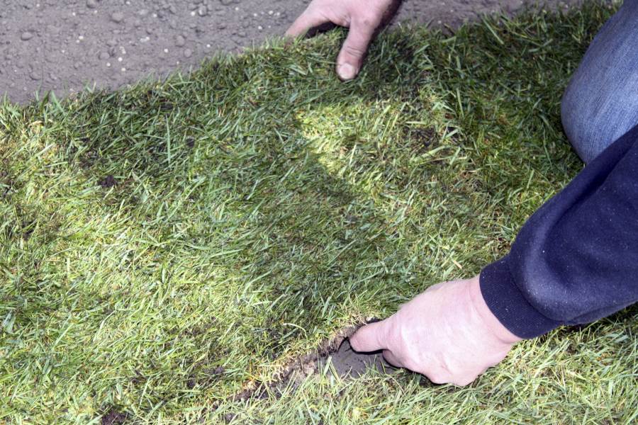 gras aanleggen prijzen