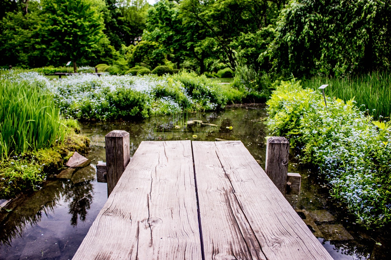 Tuin inrichten vijver 