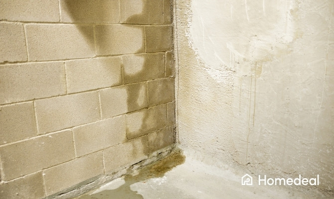 Vochtplek en doorslaand vocht op een keldermuur, zichtbaar als natte plekken en verkleuringen langs de muur en vloer.