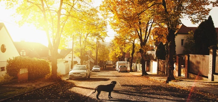 novemberklussen