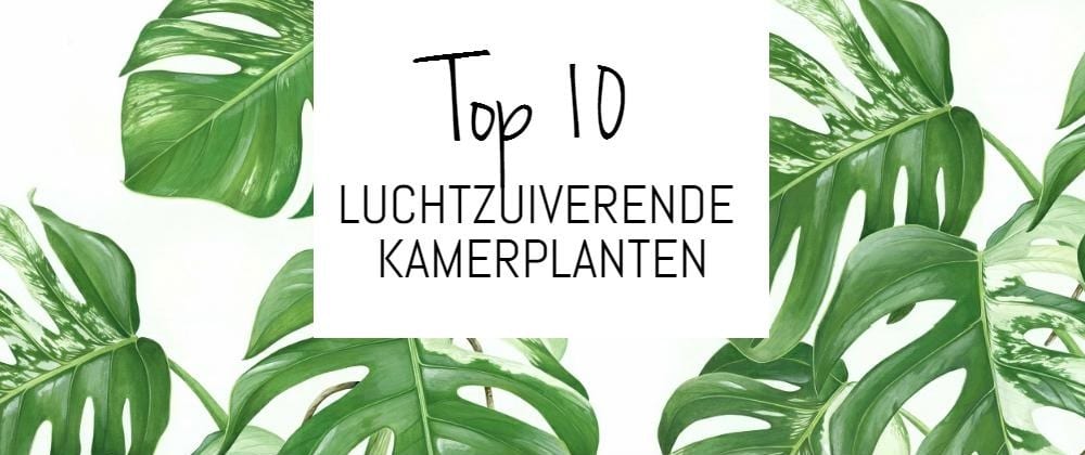 Top 10 luchtzuiverende - Homedeal