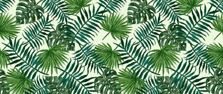 urban jungle interieur