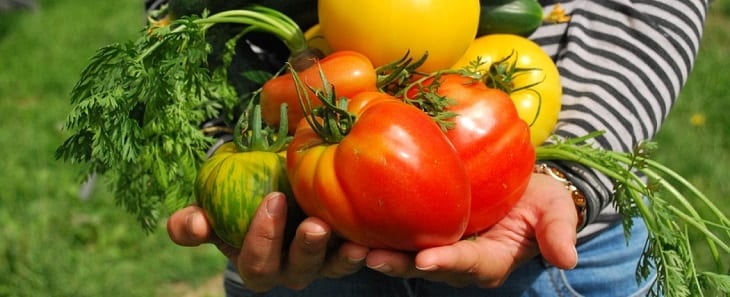 moestuintje