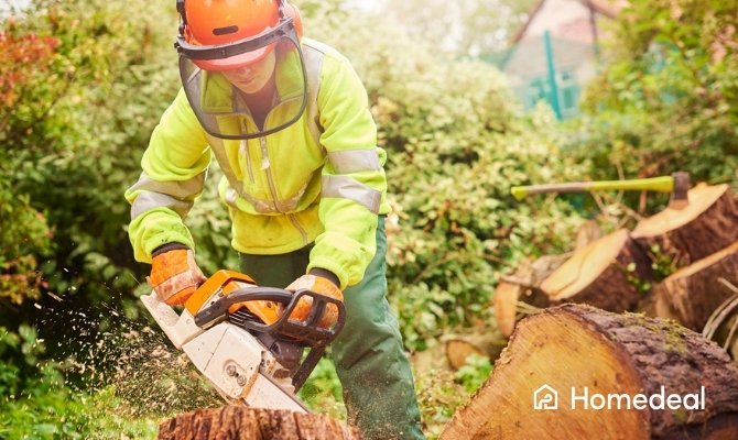 Hovenier met beschermende kleding die met een kettingszaag boomstammen zaagt in een tuin.