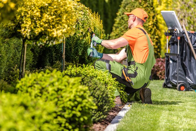 Tuin opknappen