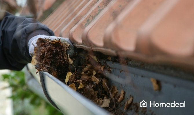Dakgoot schoonmaken waarbij bladeren, takjes en vuil met de hand uit een verstopte dakgoot worden verwijderd om een goede waterafvoer te herstellen.