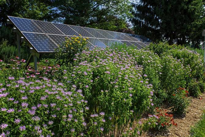 Zonnepanelen in de tuin